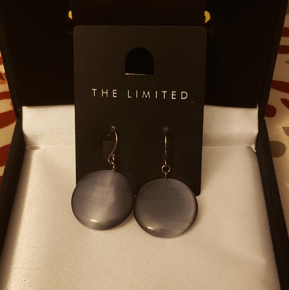 Final Price!!The limited earrings